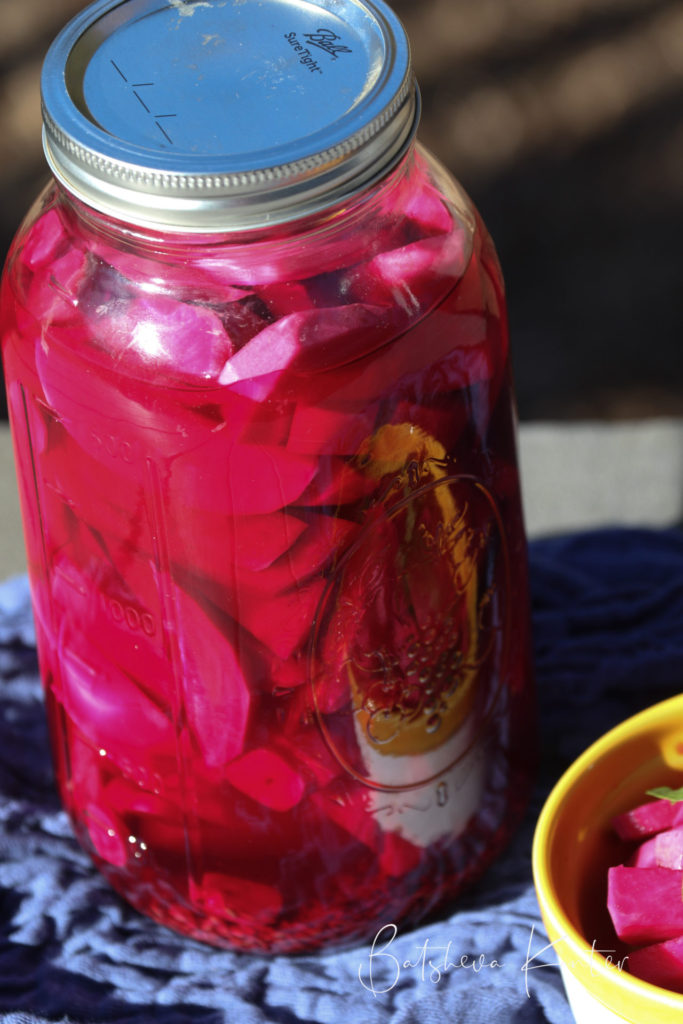 Pickled Turnips